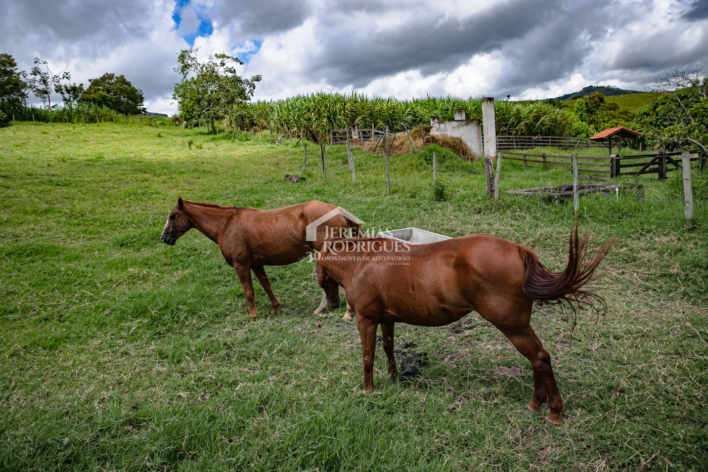 Fazenda com 2.808.000 m² - Caçapava/SP