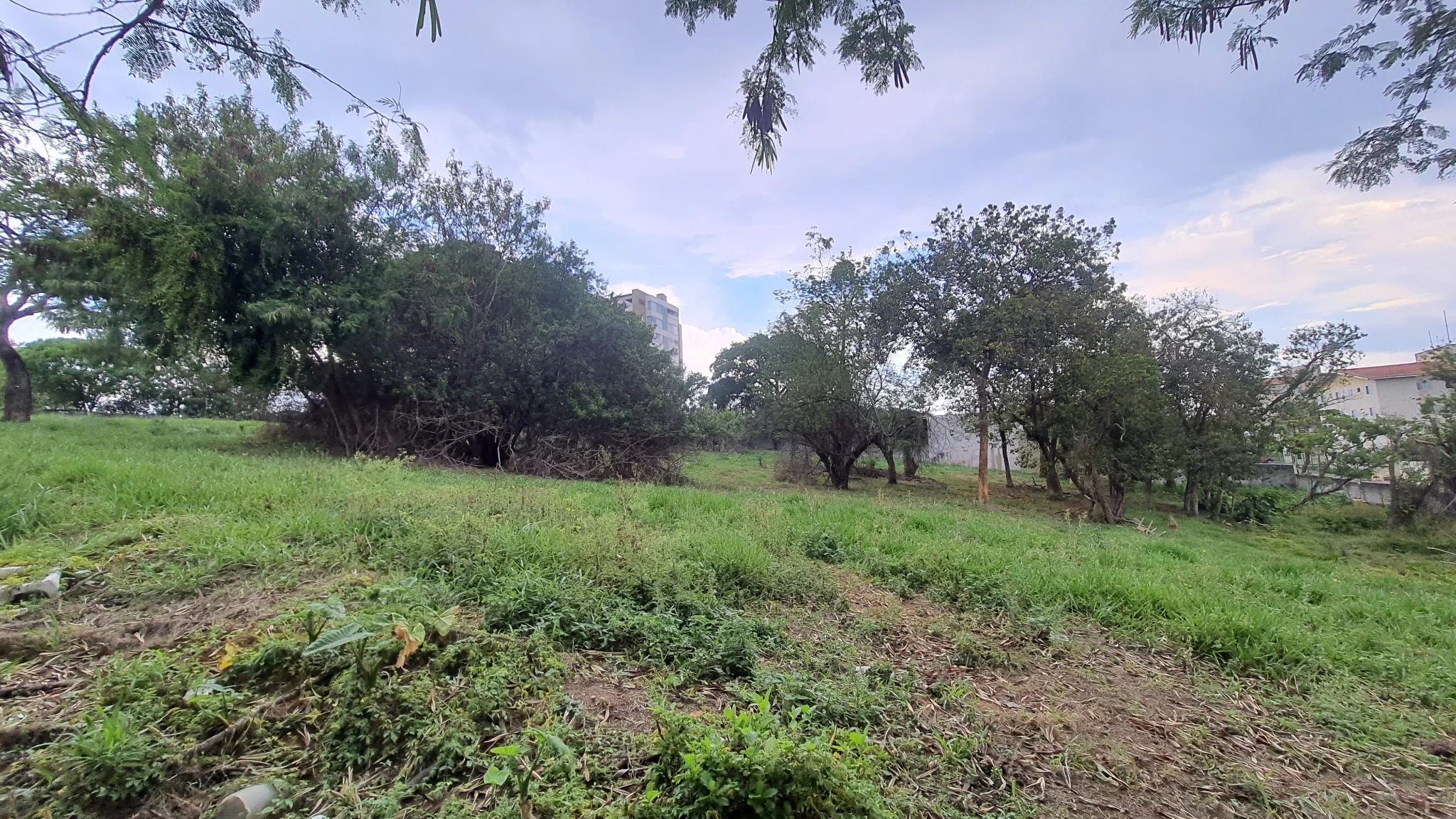 Área à venda com 13.173 m² no bairro Vila São José em Taubaté/SP.