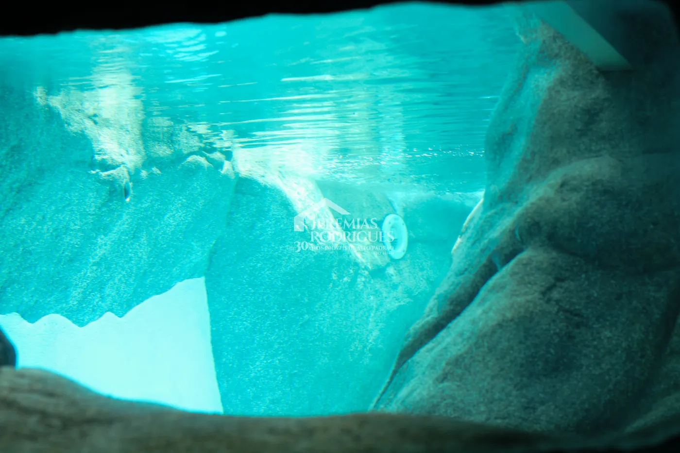 Casa para venda e locação com 5 dormitórios no Condomínio Taubaté Village em Taubaté/SP.