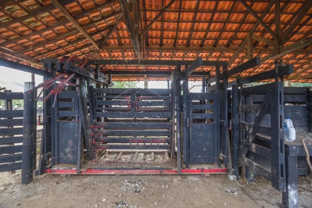 Rural misto à venda por R$ 20.000.000,00 - Roseira/SP