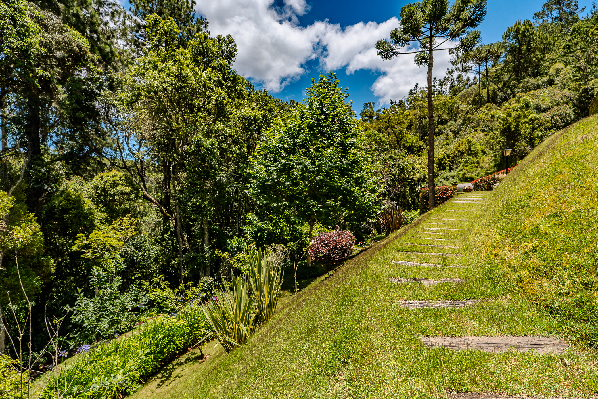 Mansão à venda com 5 suítes no Condomínio Reserva Figueiredo em Campos do Jordão/SP. 