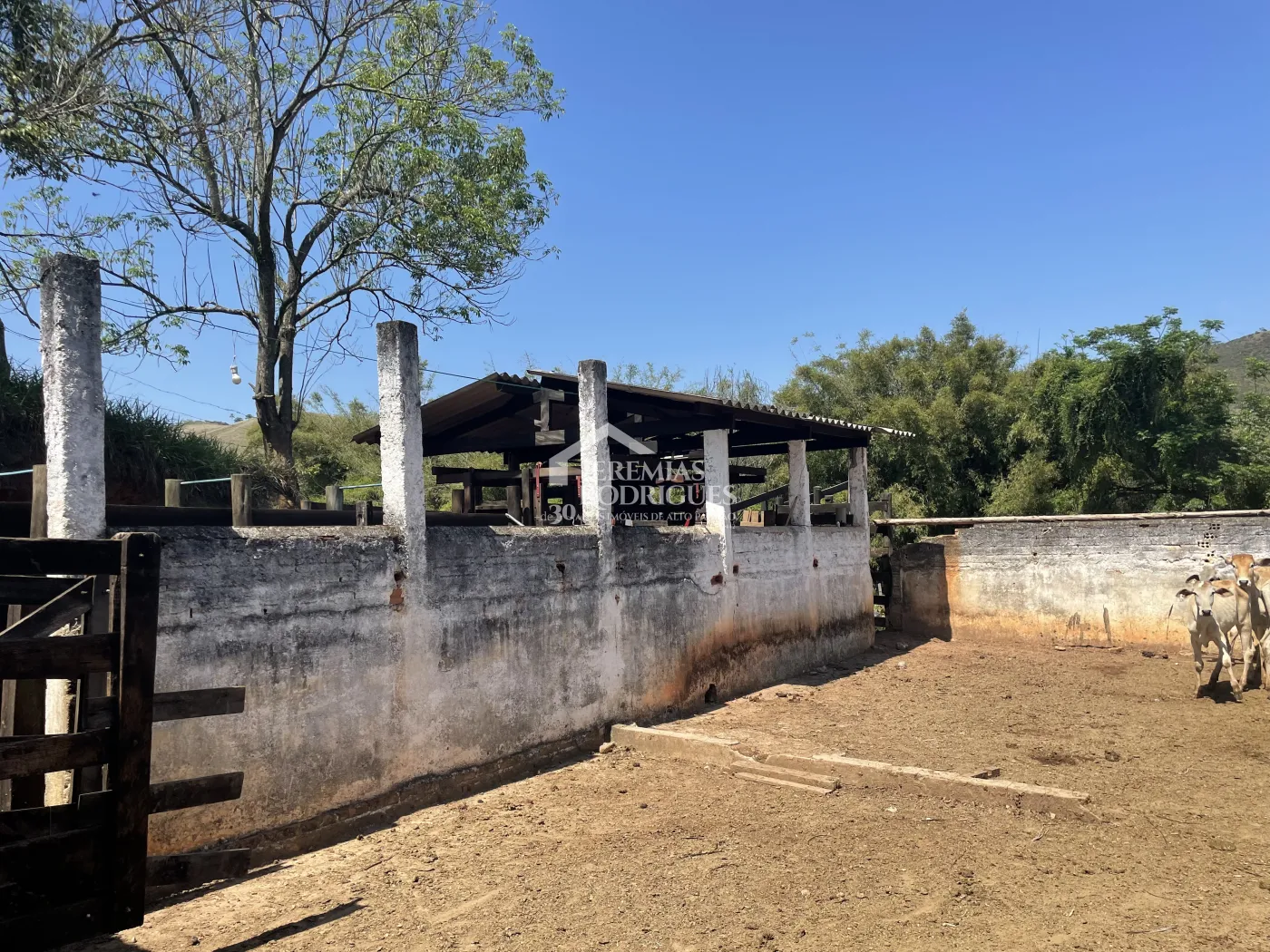 Fazenda à venda em Lorena/SP