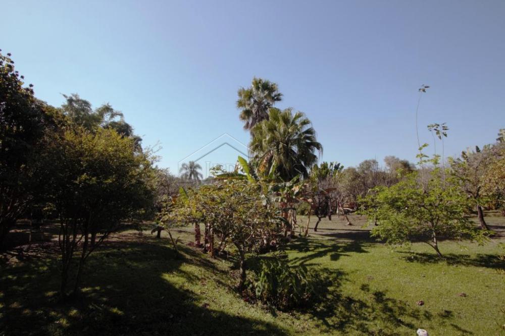 Chácara com 3 quartos, 11.184 m², à venda por R$ 1.900.000- Rancho Grande - Tremembé/SP