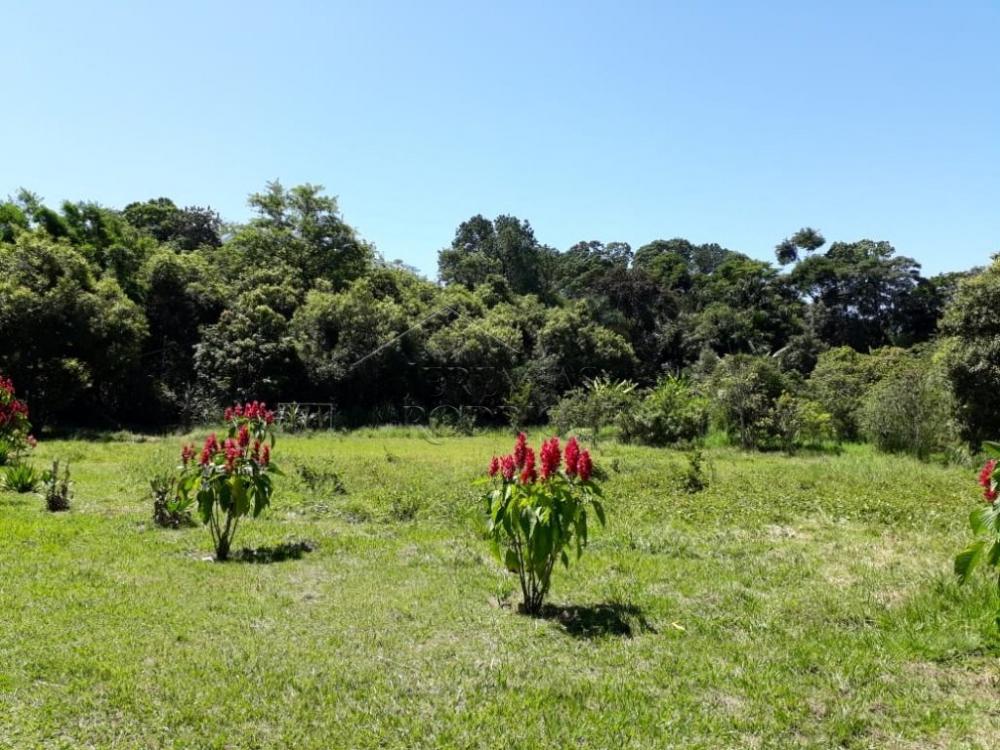 Sitio com 3 dormitórios, 250 m² - Bom sucesso - Pindamonhangaba/SP