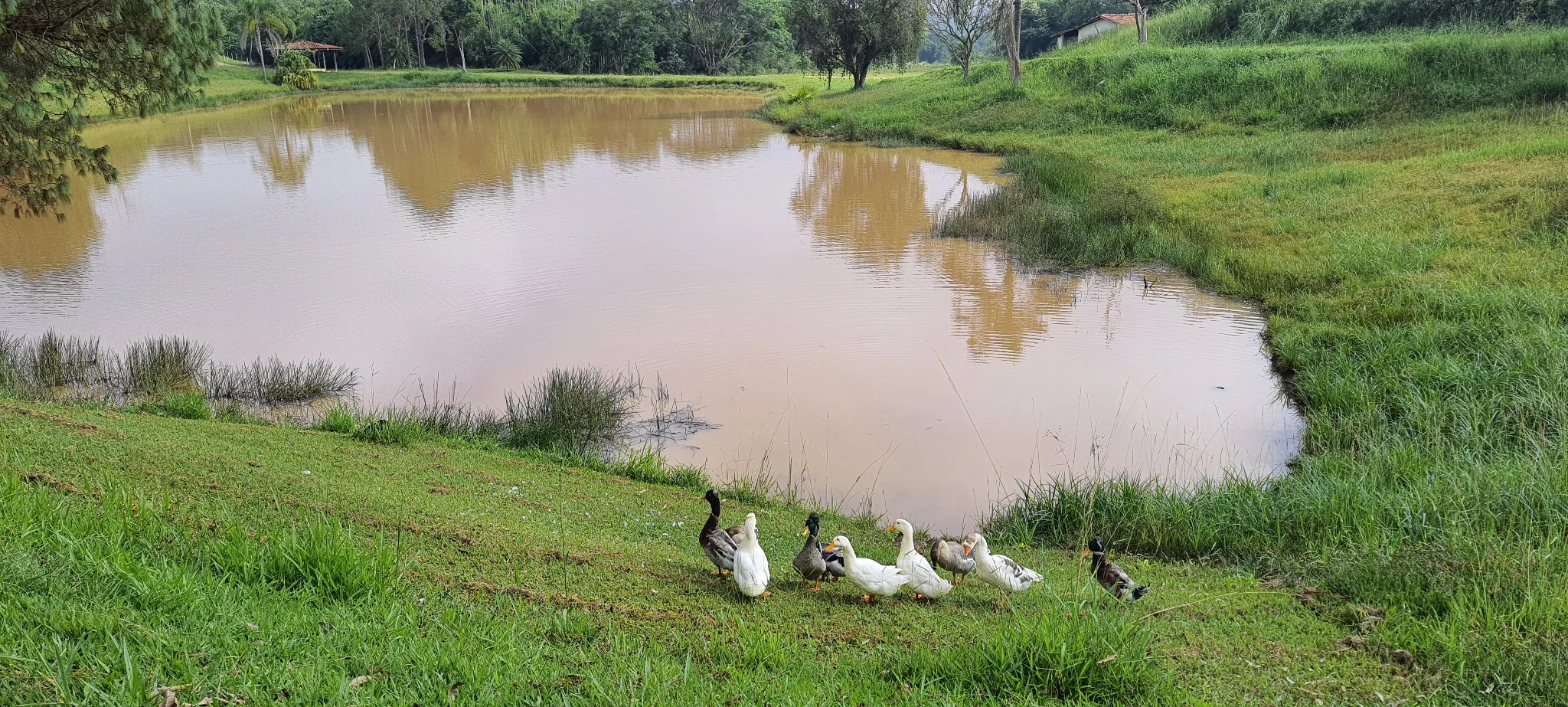 Sitio à venda no bairro Registro em Taubaté/SP.