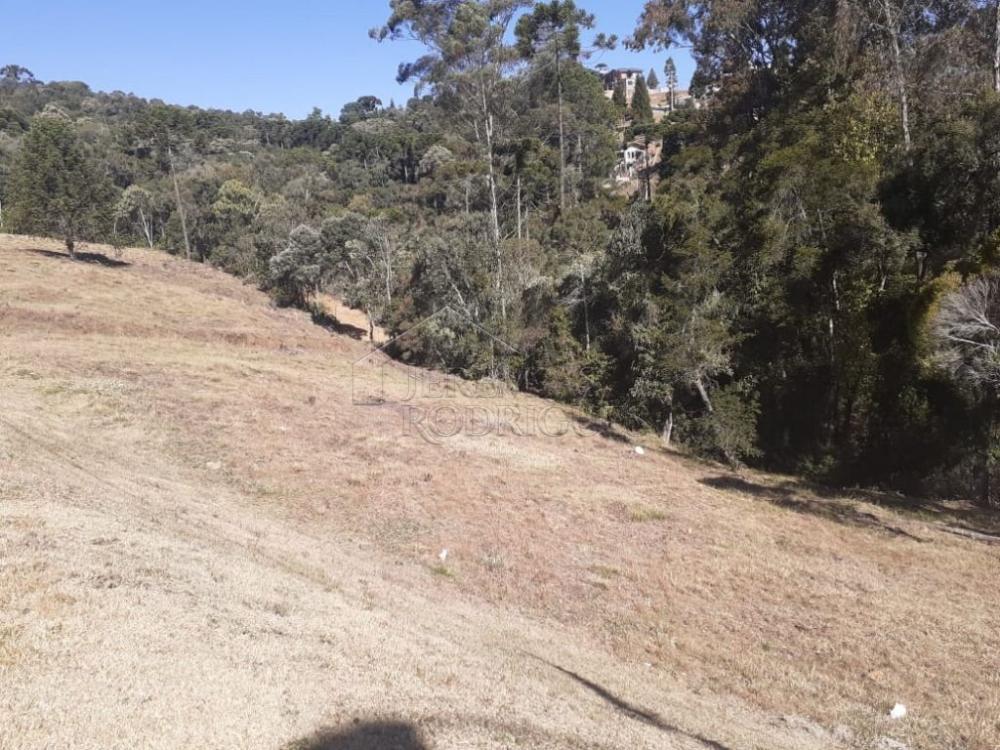 Terreno residencial à venda por R$ 1.000.000,00 - Campos do Jordão/SP
