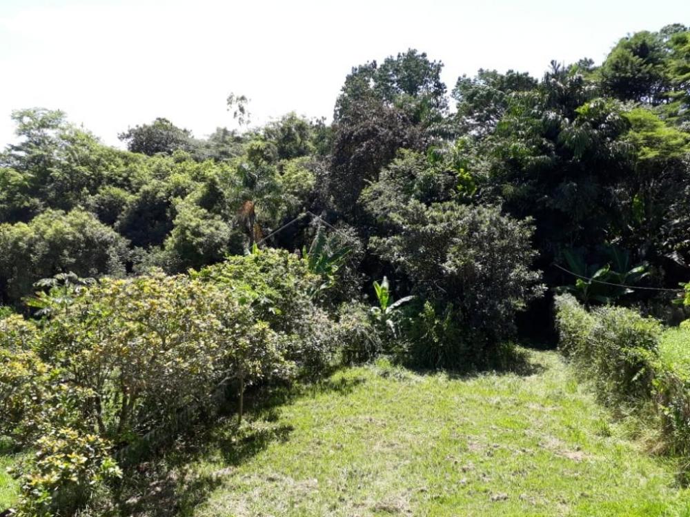 Sitio com 3 dormitórios, 250 m² - Bom sucesso - Pindamonhangaba/SP