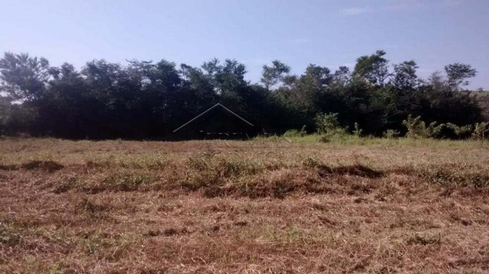 Rural misto à venda por R$ 1.500.000,00 - Pindamonhangaba/SP