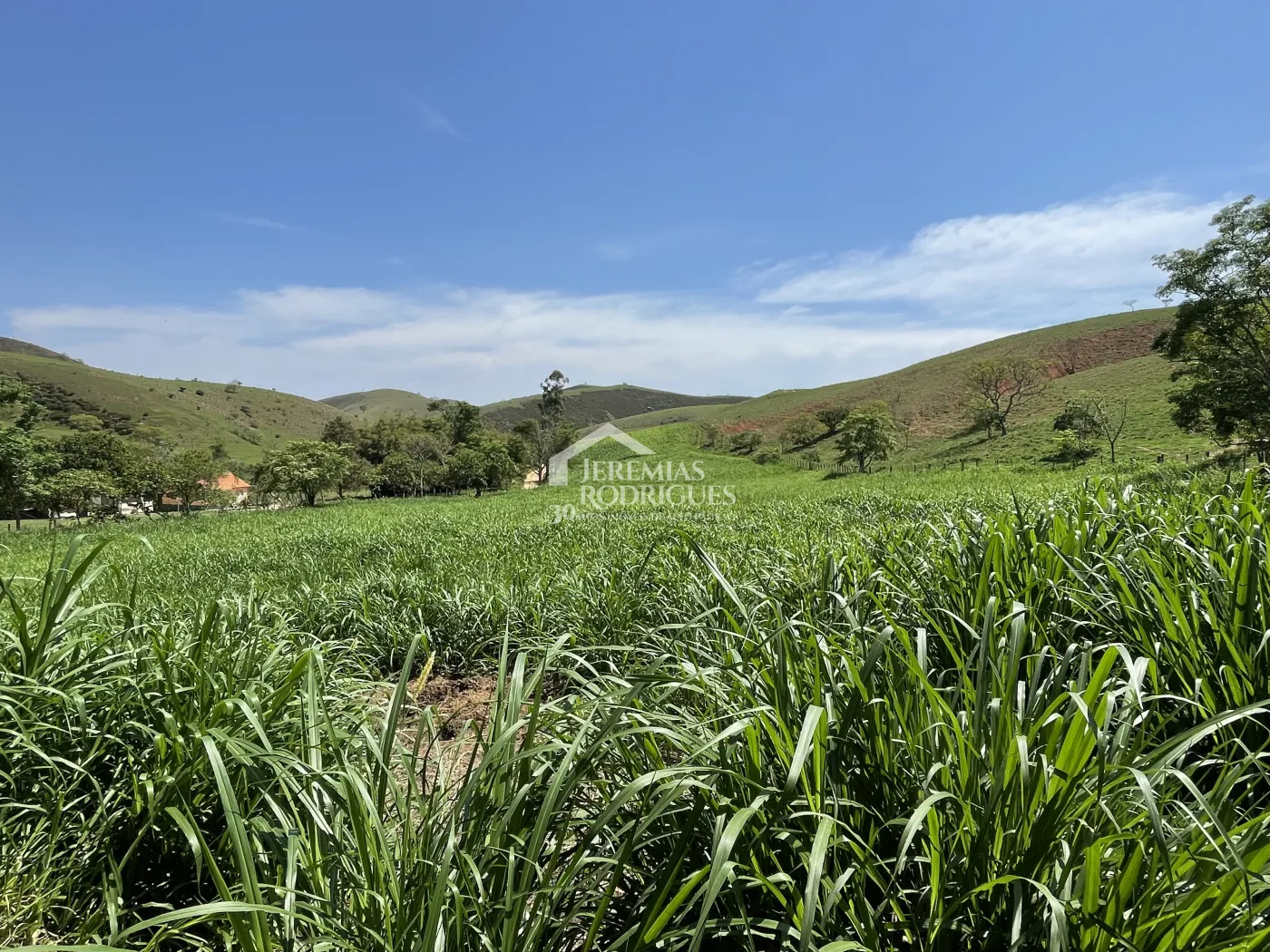 Fazenda à venda em Lorena/SP