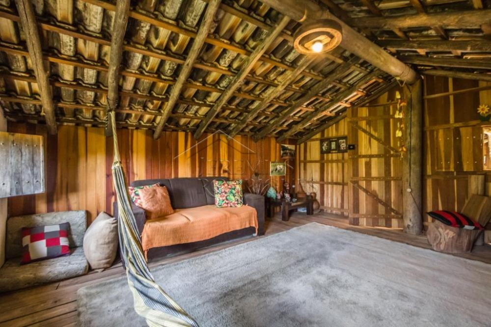 Rural misto à venda por R$ 4.500.000,00 - Lagoinha/SP