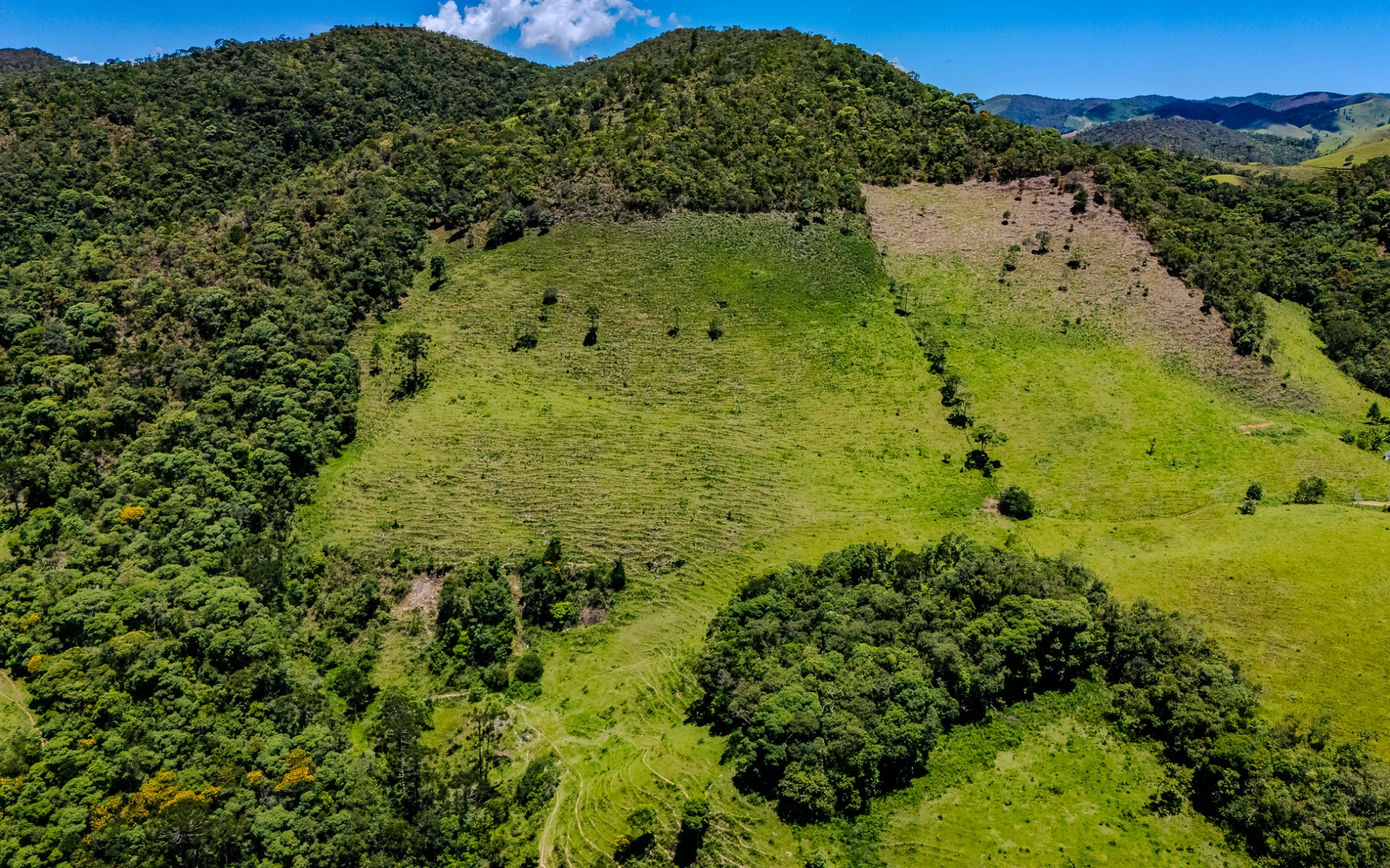 Fazenda à venda com 78 hectares em São José do Barreiro/SP. 