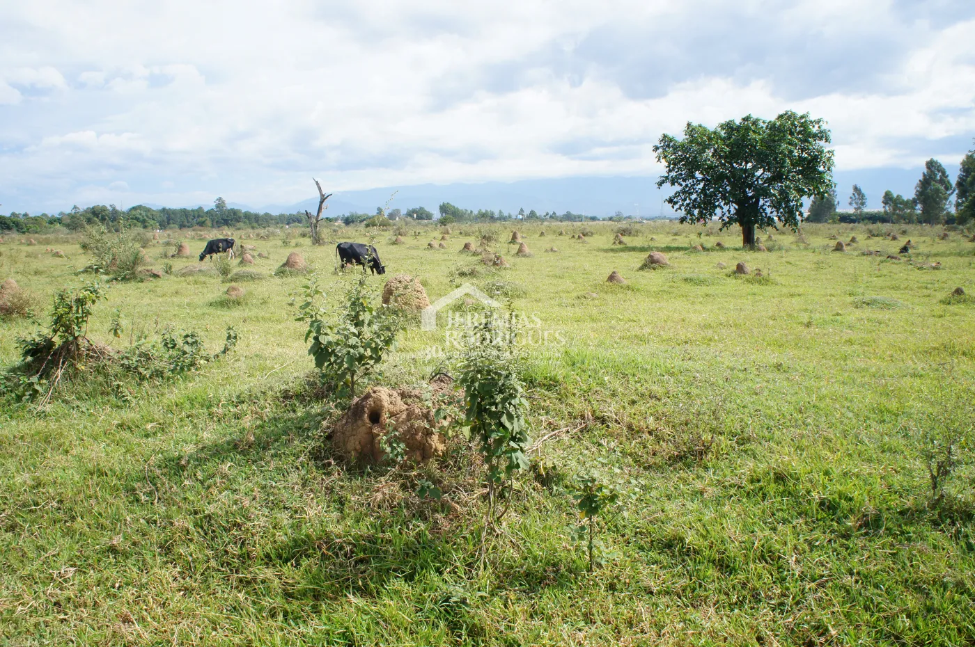 Terreno com 800.000 m² - Feital - Pindamonhangaba/SP.