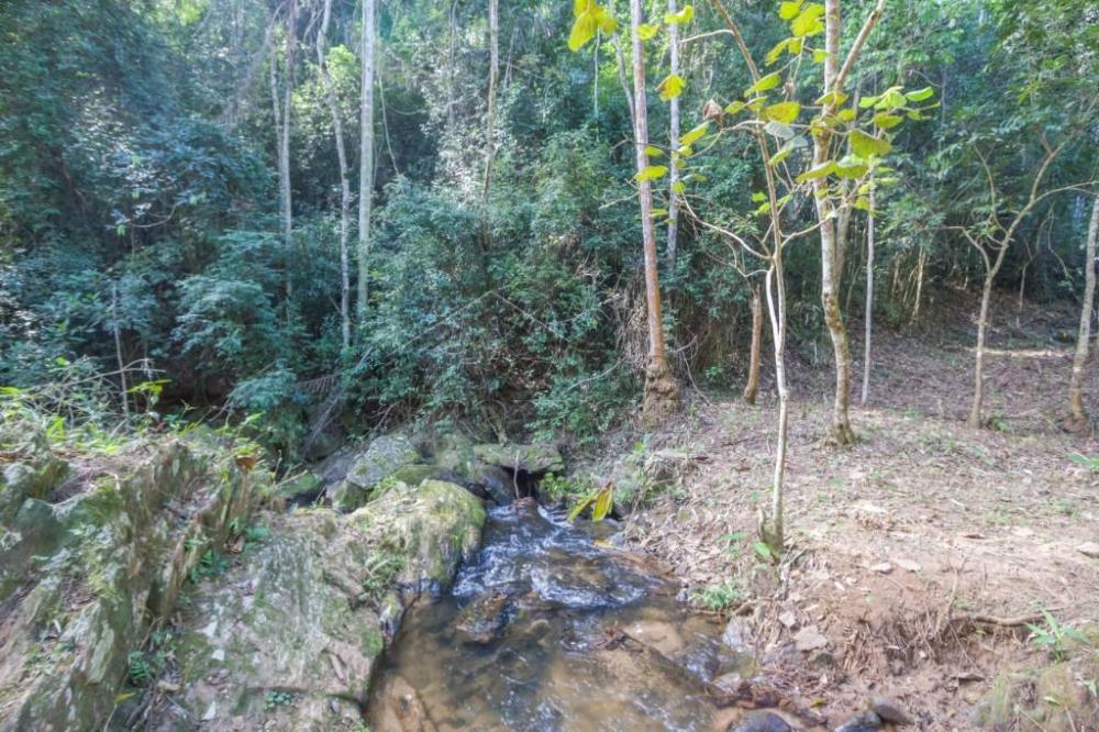 Rural misto à venda por R$ 20.000.000,00 - Roseira/SP