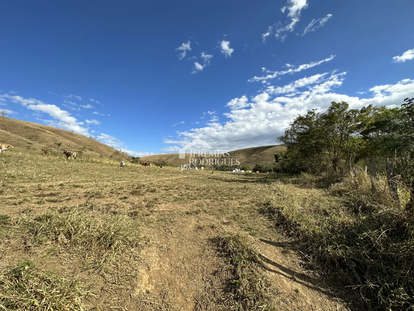 Fazenda para criação de gado de corte e plantação de milho, com mais de 612 hectares, em Cruzeiro-SP.