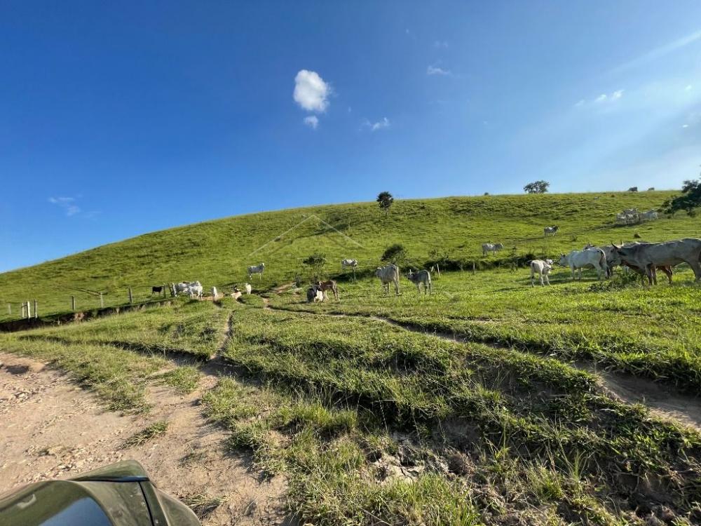 Fazenda à venda em Cunha/SP