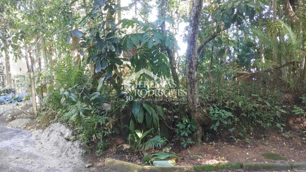 Terreno com 490 m² - Ponta Grossa - Ubatuba/SP