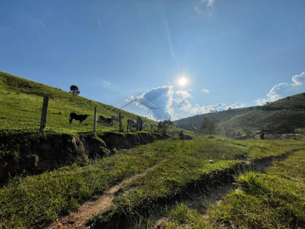 Fazenda à venda em Cunha/SP
