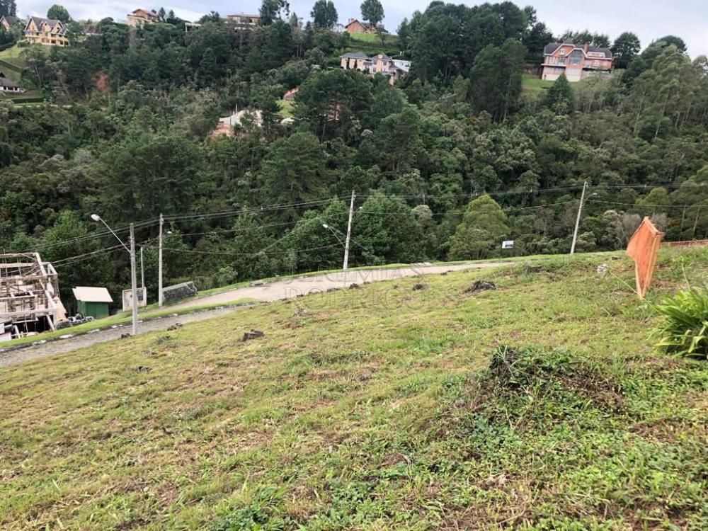 Terreno residencial à venda por R$ 1.350.000,00 - Campos do Jordão/SP