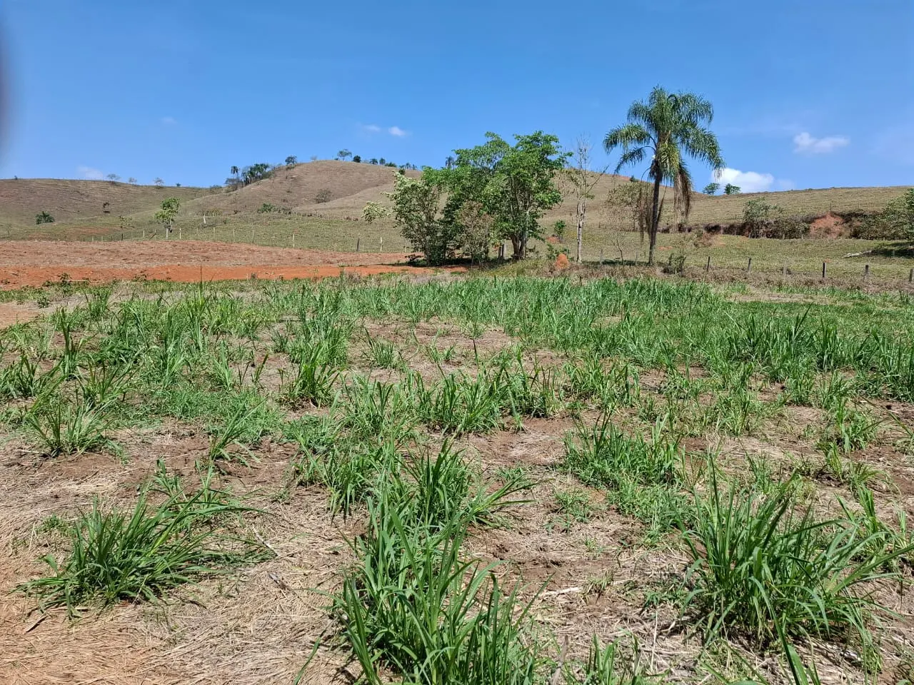 Fazenda à venda com 60 alqueires em Lorena/SP. 