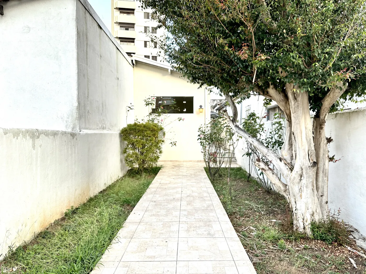 Ponto comercial no Centro de Taubaté/SP