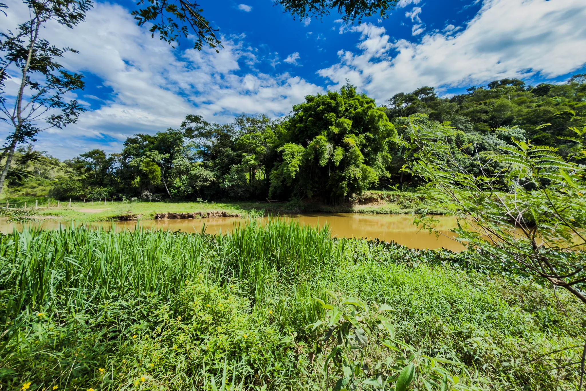 Fazenda á venda com 240 hectares em Cunha/SP. — foto 6