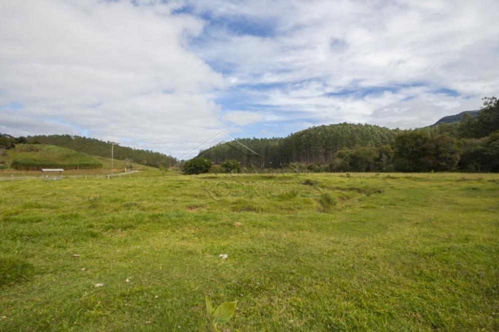 Fazenda com 4 dormitórios à venda, 968.000 m² - Lagoinha/SP