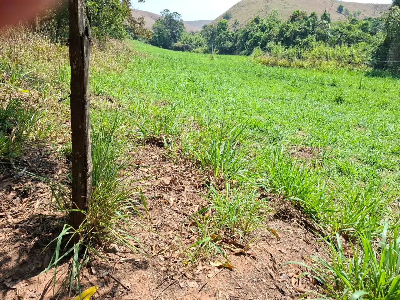 Fazenda à venda com 60 alqueires em Lorena/SP. 