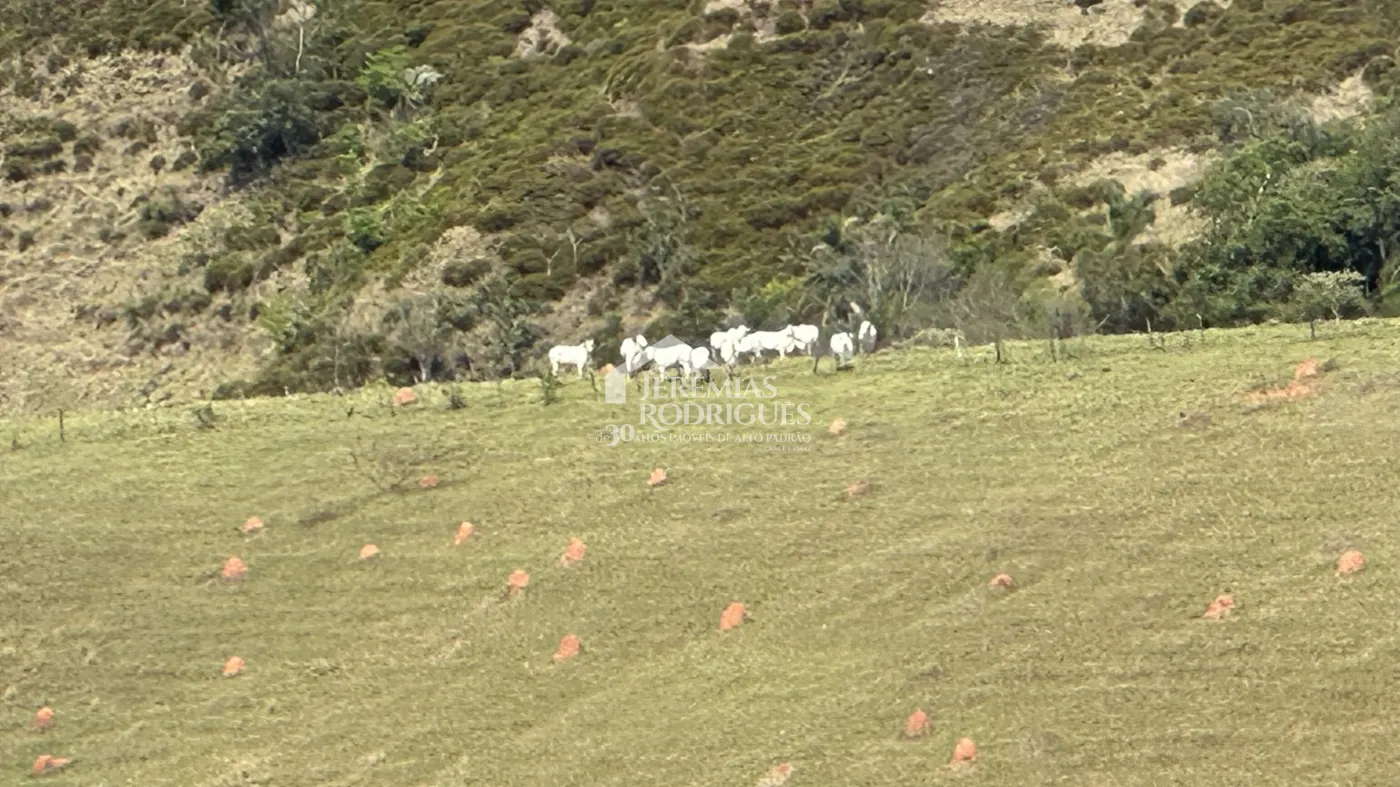 Fazenda à venda em Lorena/SP