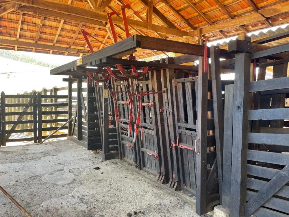 Fazenda com 2 quartos, 2.553.500 m², à venda por R$ 5.800.000- Lorena - Lorena/SP