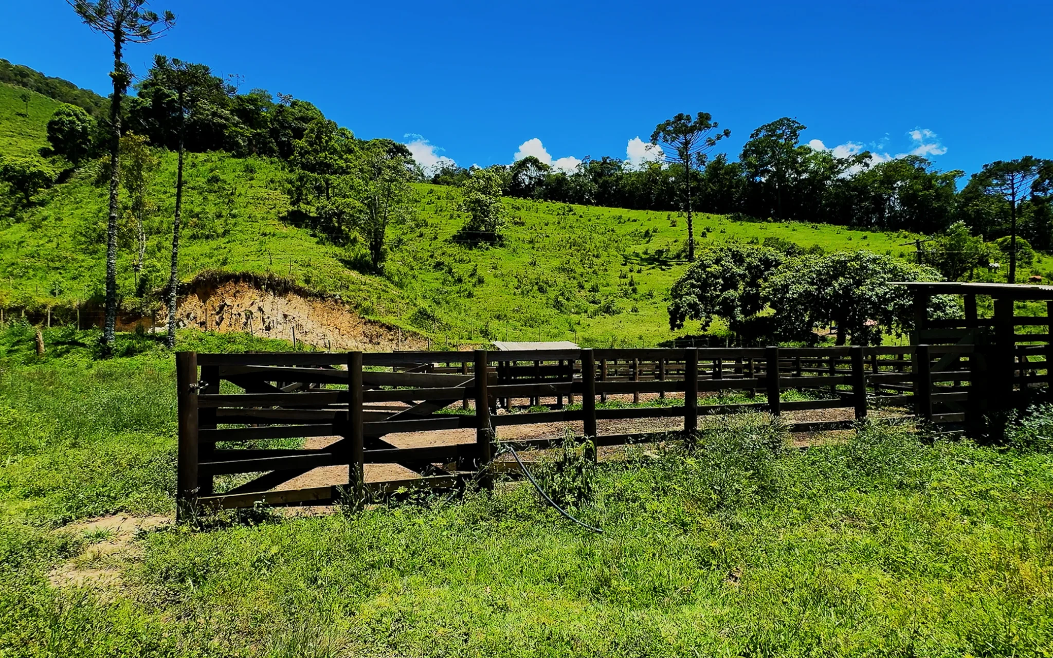 Fazenda à venda com 78 hectares em São José do Barreiro/SP. 