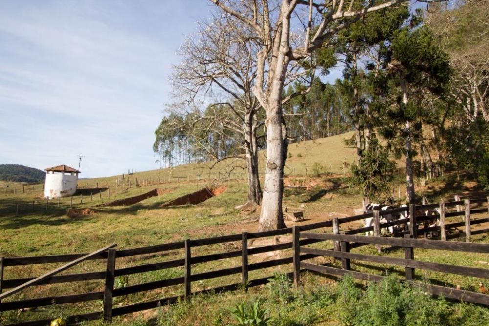 Rural misto à venda por R$ 4.500.000,00 - Lagoinha/SP