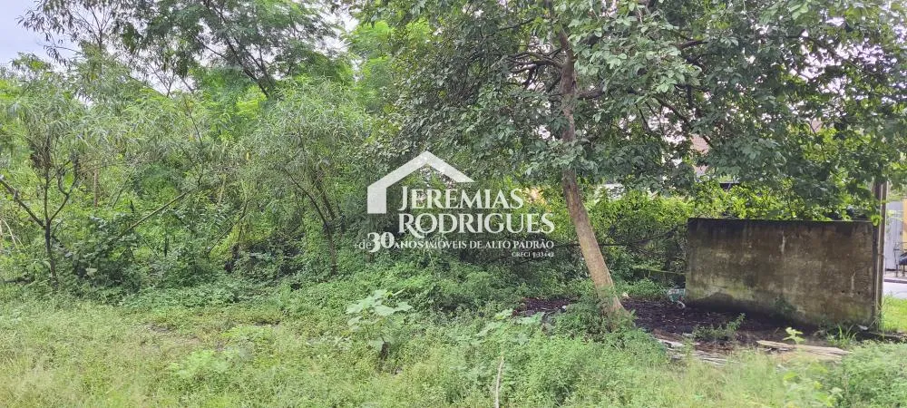 Terreno misto de 24627 m² à venda por R$ 5.390.000,00 - Taubaté/SP