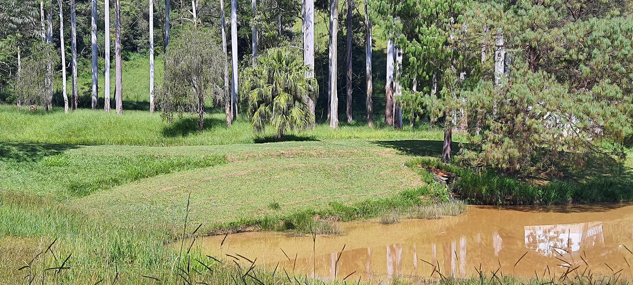 Sitio à venda no bairro Registro em Taubaté/SP.