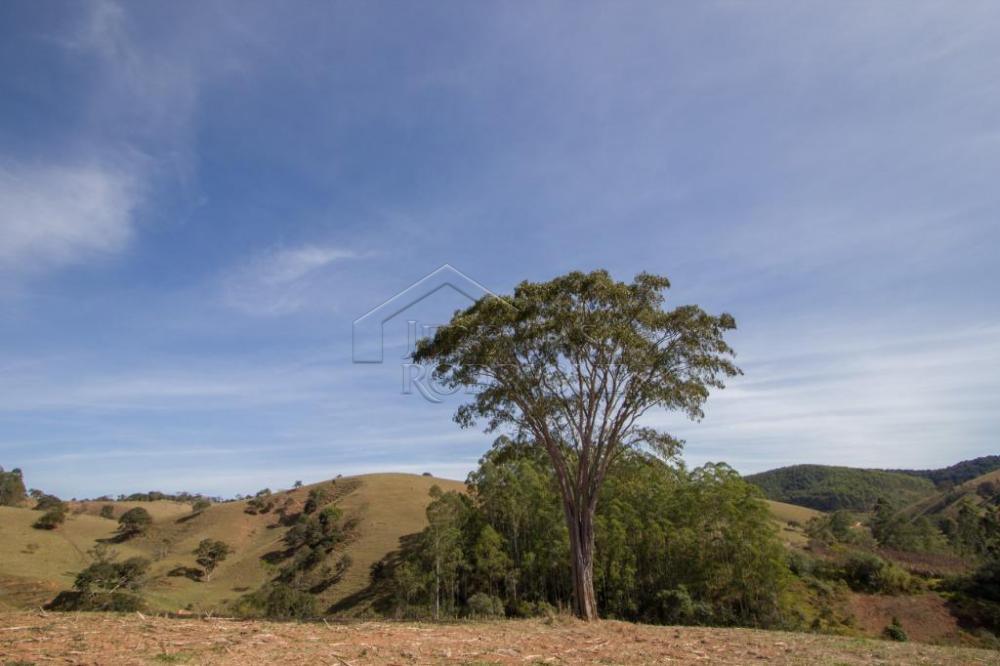 Rural misto à venda por R$ 4.500.000,00 - Lagoinha/SP