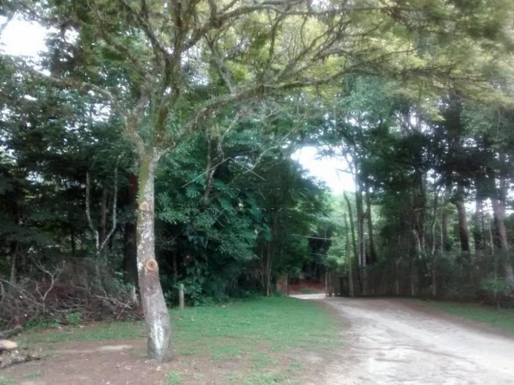 Rural misto à venda por R$ 1.500.000,00 - Pindamonhangaba/SP