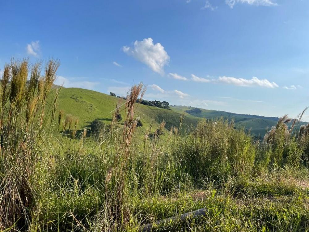 Fazenda à venda em Cunha/SP