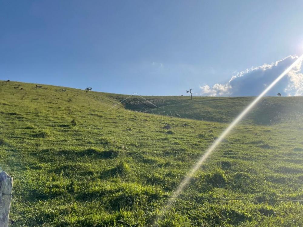 Fazenda à venda em Cunha/SP