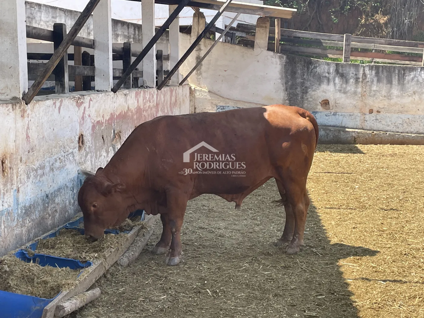 Fazenda à venda em Lorena/SP