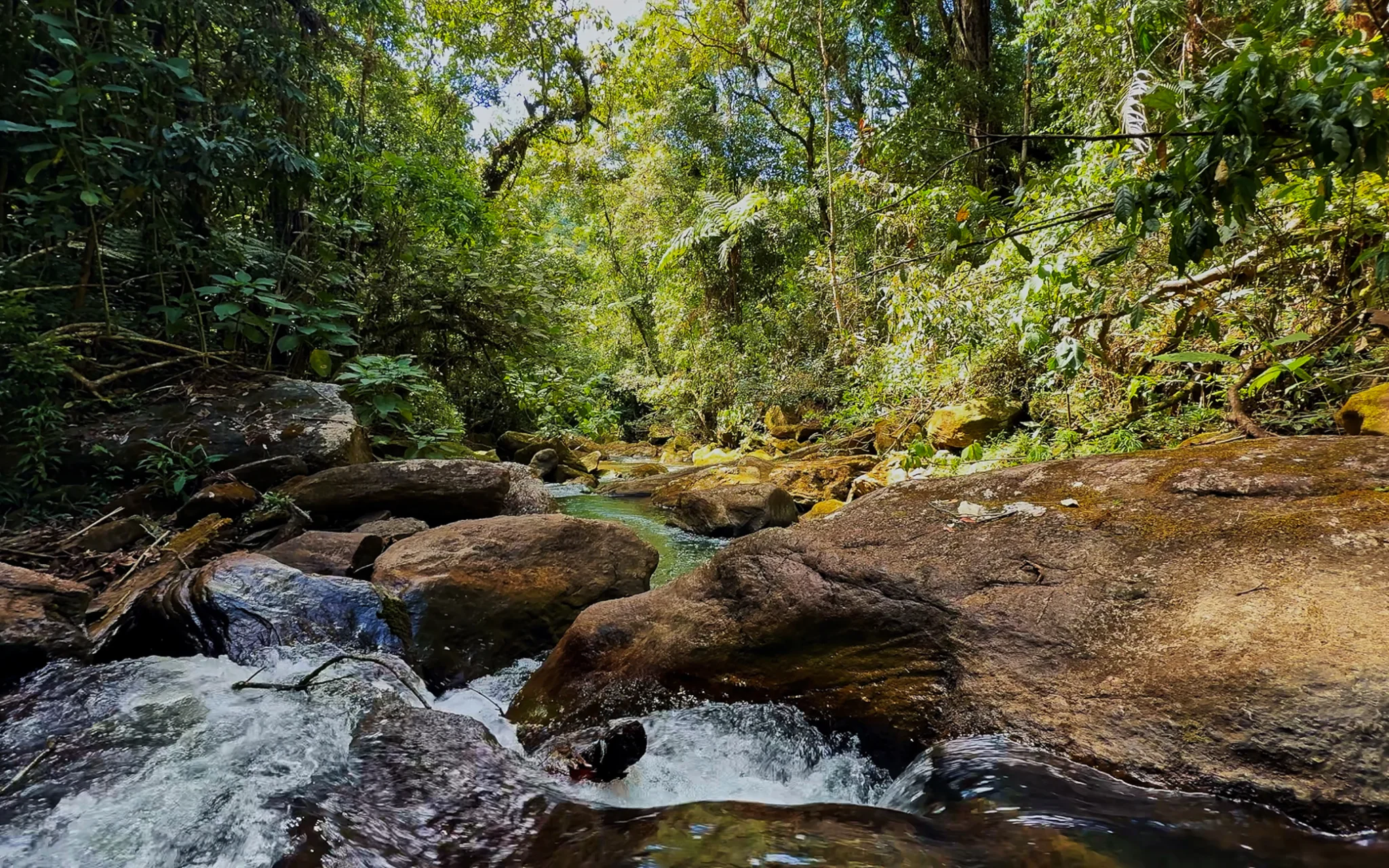 Fazenda à venda com 78 hectares em São José do Barreiro/SP. 