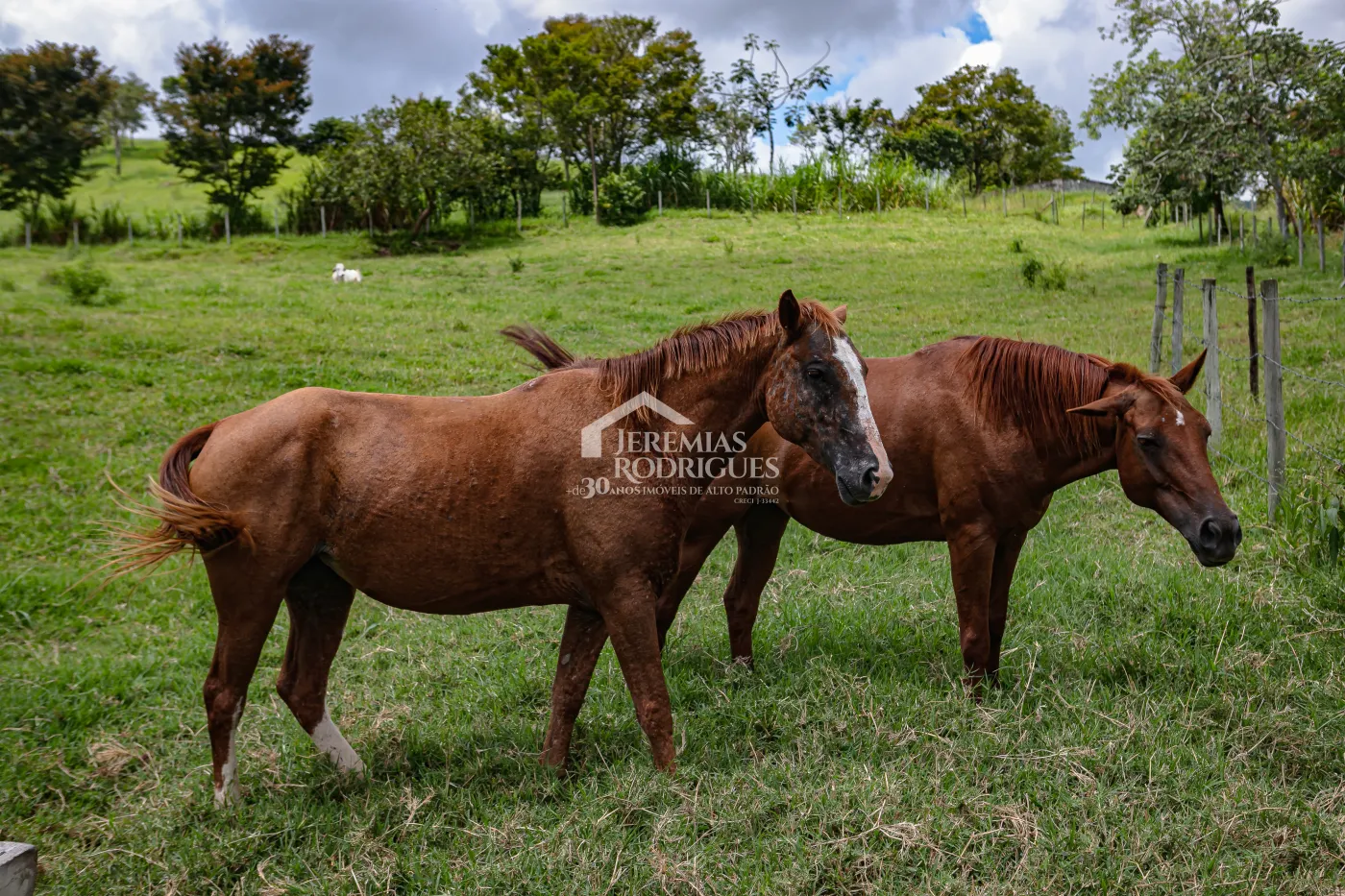 Fazenda com 2.808.000 m² - Caçapava/SP