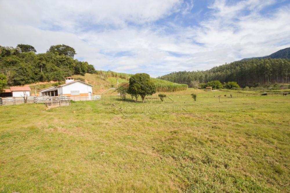 Fazenda com 4 dormitórios à venda, 968.000 m² - Lagoinha/SP