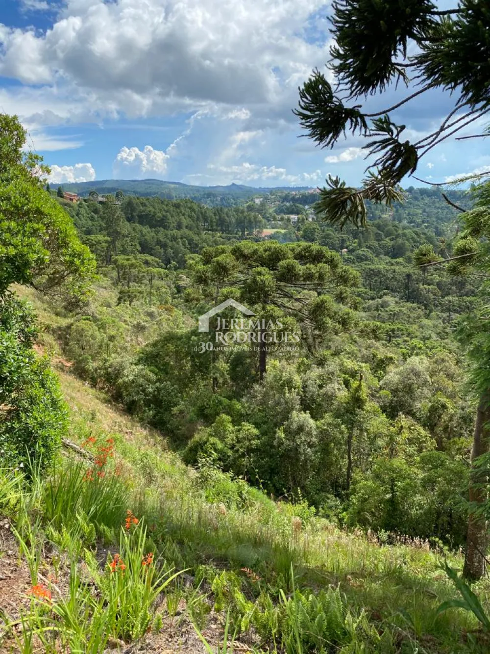 Terreno, 1.088 m², à venda por R$ 1.200.000 - Condomínio Reserva Figueiredo - Campos do Jordão/SP