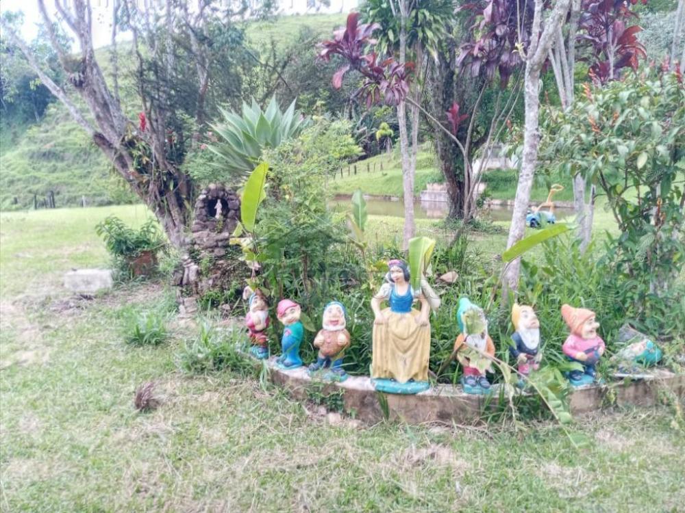 Fazenda à venda em Pindamonhangaba/SP