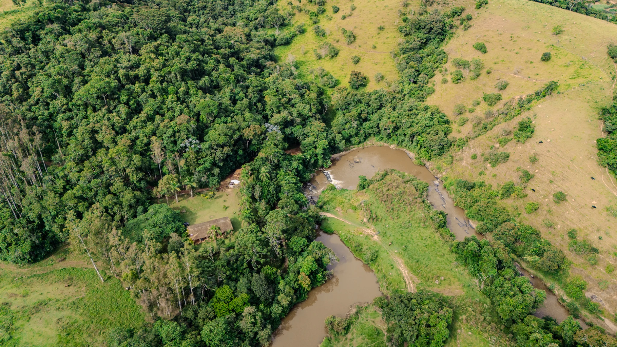 Fazenda á venda com 240 hectares em Cunha/SP. — foto 13