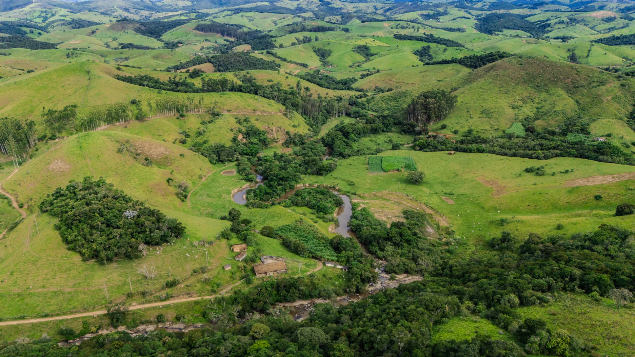 Fazenda á venda com 240 hectares em Cunha/SP. — foto 17