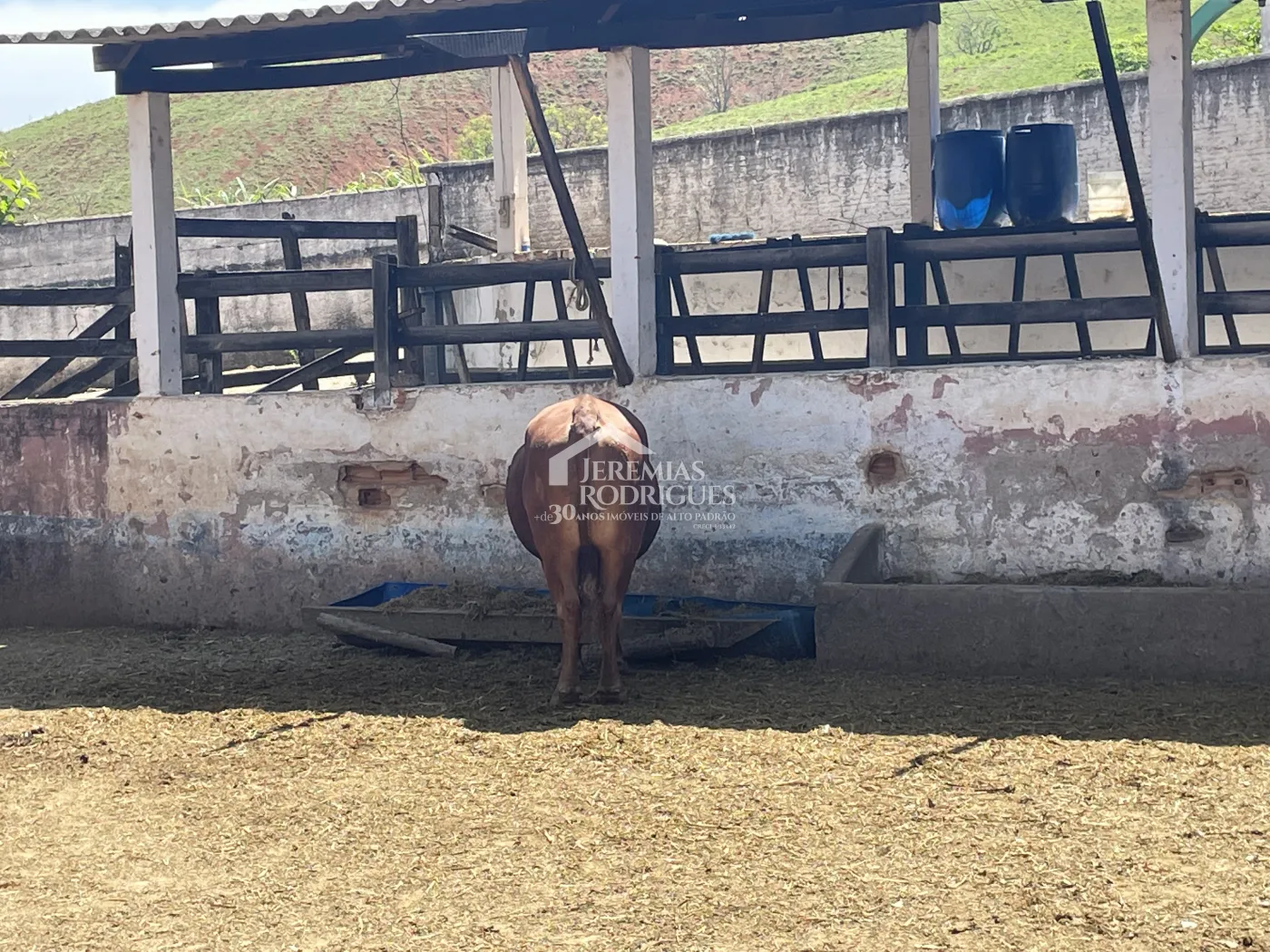 Fazenda à venda em Lorena/SP