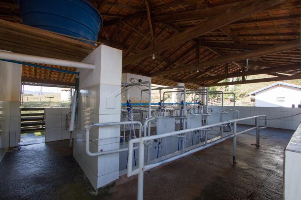 Rural misto à venda por R$ 4.500.000,00 - Lagoinha/SP