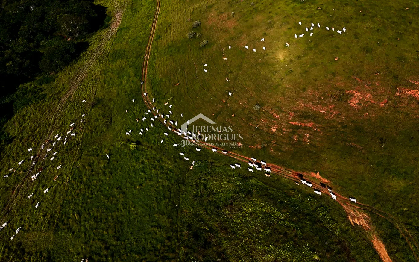 Rural misto à venda por R$ 23.500.000,00 - Cunha/SP