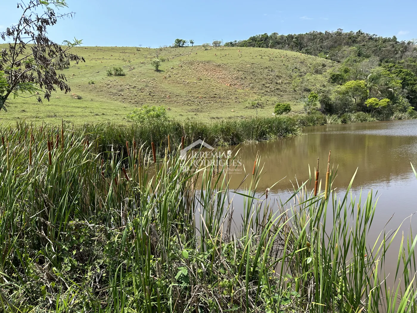 Fazenda à venda em Lorena/SP