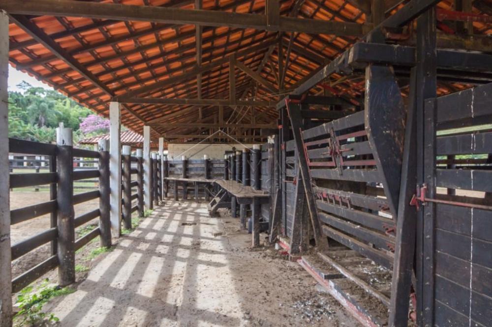 Rural misto à venda por R$ 20.000.000,00 - Roseira/SP